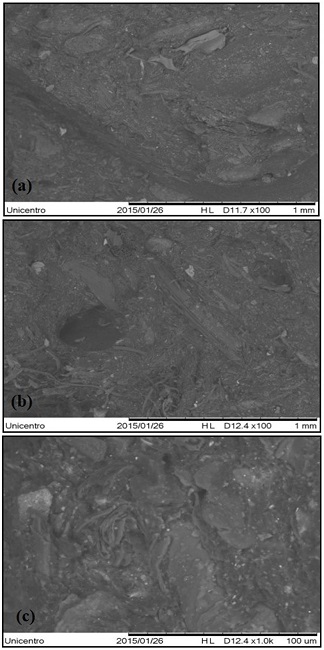  Scanning electron microscopy of the fracture of composites (a) 30% sugar cane fiber, 100x; (b) 40% sugar cane fiber, 100x; (c) 40% sugar cane fiber, 1000x. 