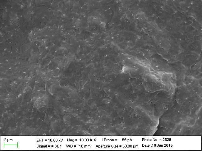 Scanning electron micrograph of PHB/10%TiO2, as obtained after mixing. 