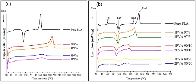 Second heating run DSC thermograms for: (a) Pure PLA and PVA’s; (b) PLA/PVA blends.