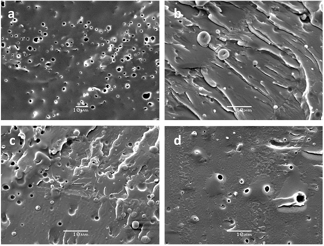 SEM images of selected PLA/PVA blends: (a) 3PVA 80/20; (b) 4PVA 80/20; (c) 3PVA 97/3; (d) 4PVA 97/3.
