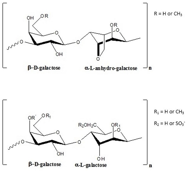  Chemical structure of agar type molecules with the different types of sugar units and substituents. 
