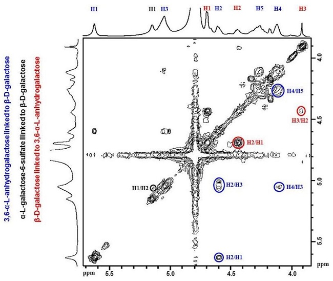  2D COSY spectrum of PLSs from Gracilaria intermedia in D2 O. 
