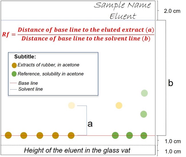  Preparation of the TLC plate for the deposition of the extracts and the RF marking. 