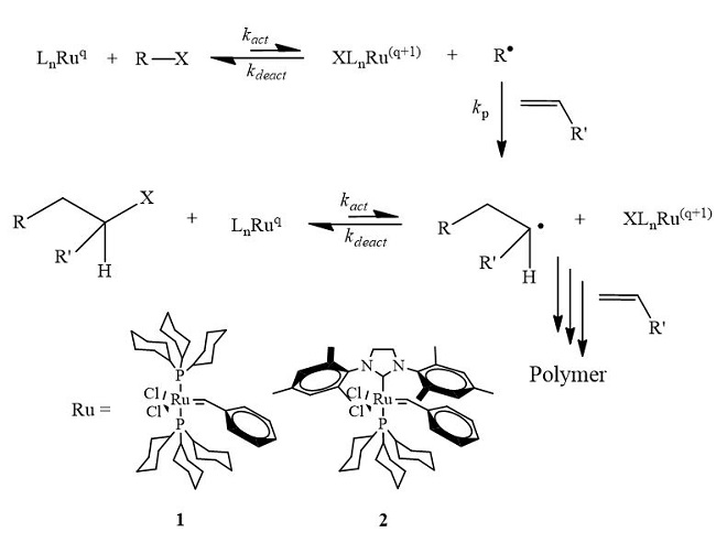  Illustration of ATRP reaction; the termination step is not shown for clarity. 