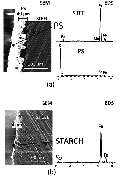 (a) Photomicrography for secondary electrons 600&times; substrate profile (SEM) of anticorrosive film of polystyrene (PS) on ASTM 1080 steel (Steel) and the energy-dispersive X-ray spectroscopy spectrum (EDS) for ASTM 1080 steel (Steel) and polystyrene (PS); (b) photomicrography for secondary electrons 600&times; substrate profile (SEM) of anticorrosive film of starch (Starch) on ASTM 1080 steel (Steel) and the energy-dispersive X-ray spectroscopy (EDS) only to the spectrum for starch. 