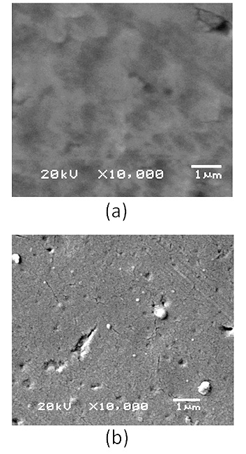  (a) Photomicrography for secondary electrons 10,000&times; anticorrosive film of polystyrene (PS) on ASTM 1080 steel; (b) Photomicrography for secondary electrons 10,000&times; of anticorrosive film of starch (Starch) on substrate of ASTM 1080 steel. 