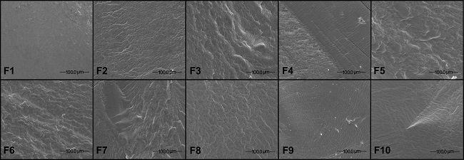  Scanning electron microscopy micrographs of the fracture of the sheets with magnification at 800 x (F1-F10, formulations according to Table 1). 