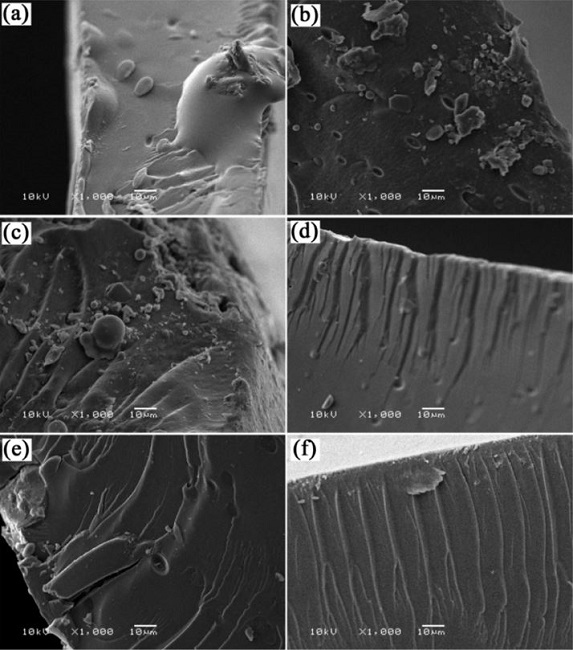 SEM images of the fractured surfaces of the blended membranes with 10 (a), 15 (b) and 20 wt. % (c) of SPInd35; and 10 (d) and 15 wt. % (e) of SPInd45; and recast Nafion (f).