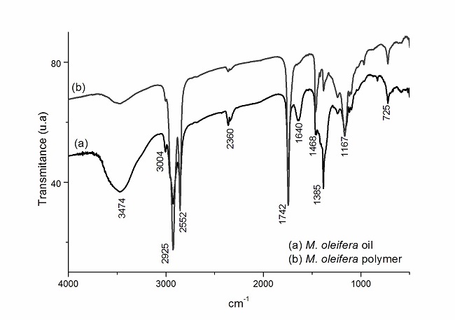  IR spectra of M. oleifera oil and M. oleifera polymer. 