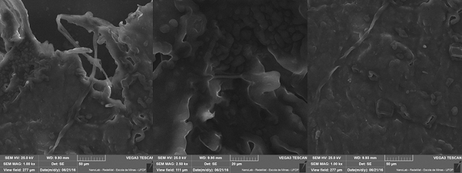  Micrography of M15-35-50 before biodegradation using Bartha Respirometer. 