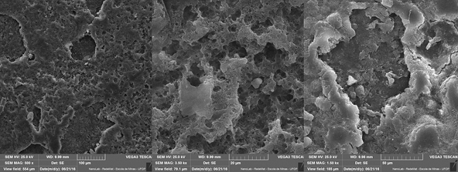  Micrography of M15-35-50 after biodegradation using Bartha Respirometer. 
