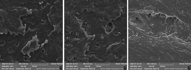  Micrography of P15-35-50 before biodegradation using Bartha Respirometer. 