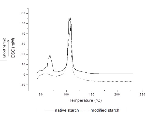 DSC thermographs of native and modified tiger nut starch.