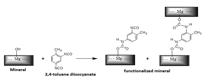 Reaction between the diisocyanate and the OH group of the mineral.