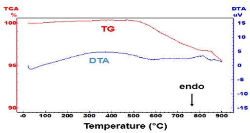 Steatite thermal analysis (TG and DTA)