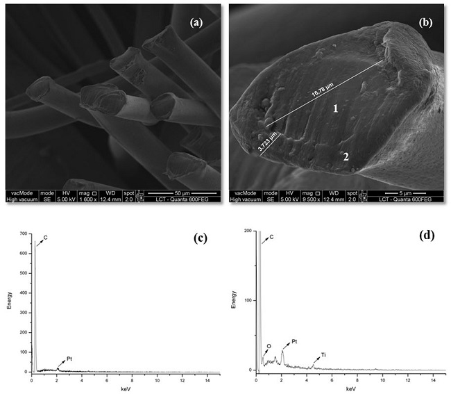 SEM images and EDS spectra of 3 denier PE/PP bicomponent fiber: (a) SEM micrograph of fibers; (b) SEM micrograph of individual fiber cross section with width of core and sheath; (c) EDS spectrum of region 1(core); (d) EDS spectrum of region 2 (sheath).
