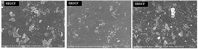  SEM micrographs for SB (Styrene-Butadiene)/CF (Chicken Feather) composites. 