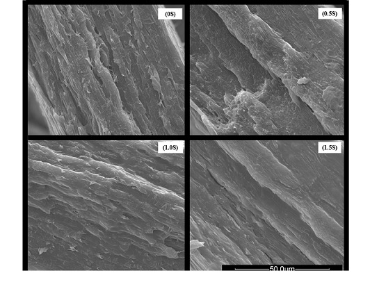 
              Electron micrographs of films (fractures) containing different levels of sericin.
            
