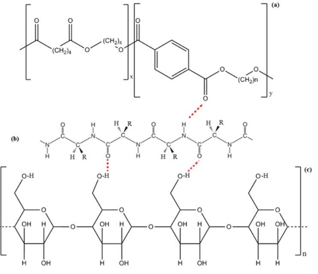 
              Scheme representing interactions between fragments of: (a) PBAT, (b) protein and (c) 
              starch. R=side chains of amino acids residues.
            