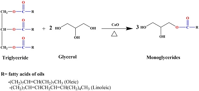 Synthetic route of the monoglycerides.