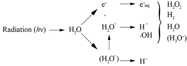  Process of radiolysis of water[30-32]. 