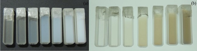  (a) Representes cuvettes of irradiated modified VIPARnd. The dose absorbed from left to right is 0, 3, 5, 10, 15, 20 and 50 Gy and (b) Image acquired by the imaging system developed. The dose absorbed from left to right is 0, 3, 5, 10, 15, 20 and 50 Gy. 