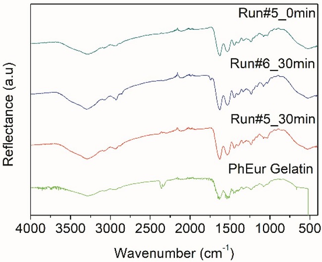Preparation of gelatin beads treated with glucose and glycerol