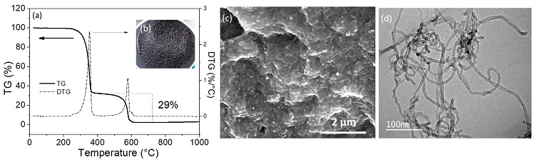 
            Commercial masterbatch: (a) TGA curve; (b) inset - masterbatch sample; (c) SEM image of 
            the cryofracturated pellet; (d) TEM image of the carbon nanotube extracted from the masterbatch.
          