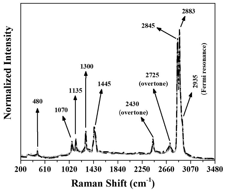 Confocal Raman spectra from the HDPE/LDPE blends.
