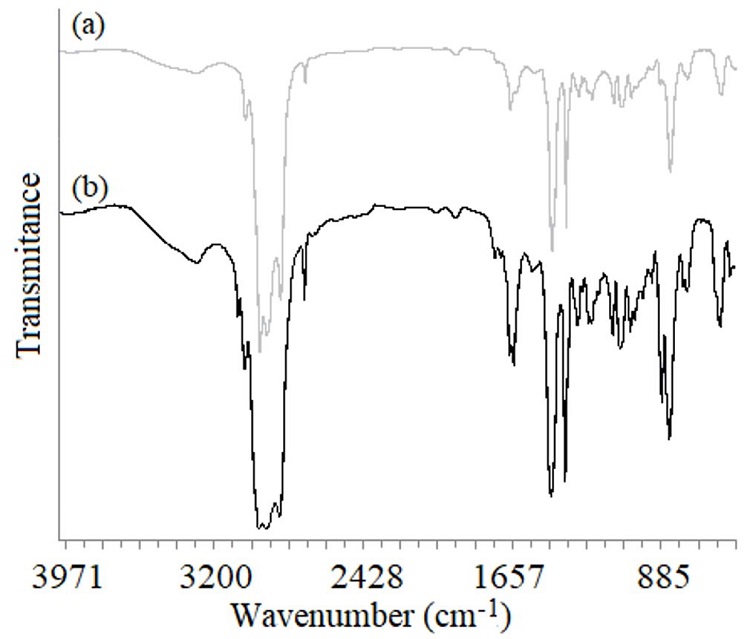 
              Infrared spectra of the non-vulcanized coagulated NR degradation products: (a) R12-NR 
              and (b) R5-NR.
            