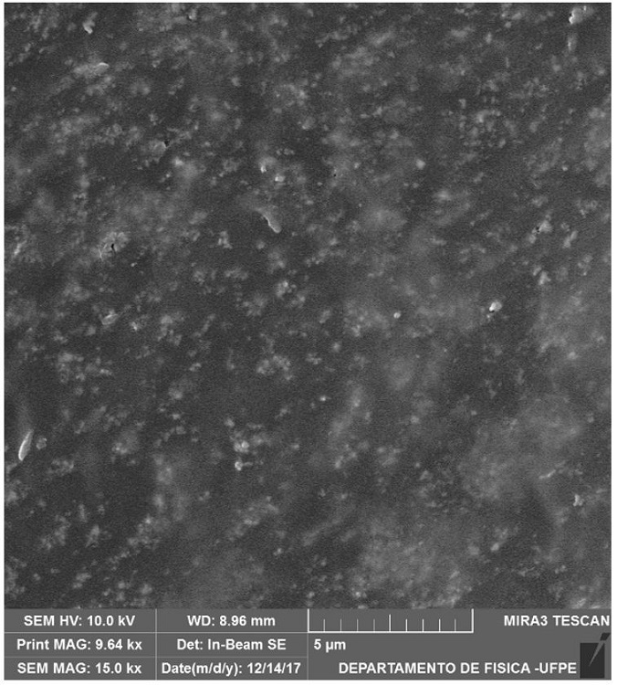 SEM image of PCL/ZnO 5%.