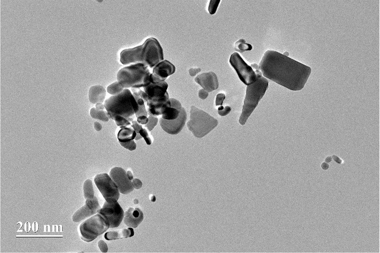 TEM image of PCL/ZnO 5%.