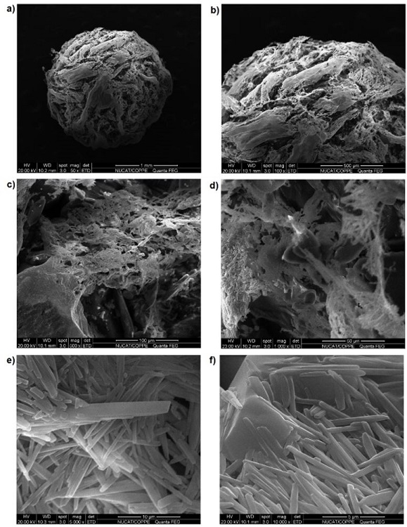 Images of uncoated urea obtained by SEM at magnifications of (a) 50×; (b) 100×; (c) 500×; (d) 1,000×; (e) 5,000×; and (f) 10,000×.