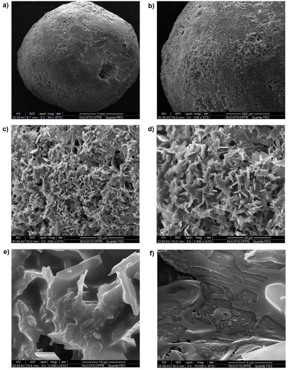 Images of coating 2 (monomeric solution; with pauses) obtained by SEM at magnifications of (a) 50×; (b) 100×; (c) 500×; (d) 1,000×; (e) 5,000×; and (f) 10,000×.