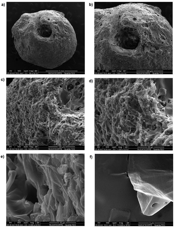 Images of coating 3 (polymeric solution; without pauses) obtained by SEM at magnifications of (a) 50×; (b) 100×; (c) 500×; (d) 1,000×; (e) 5,000×; and (f) 10,000×.