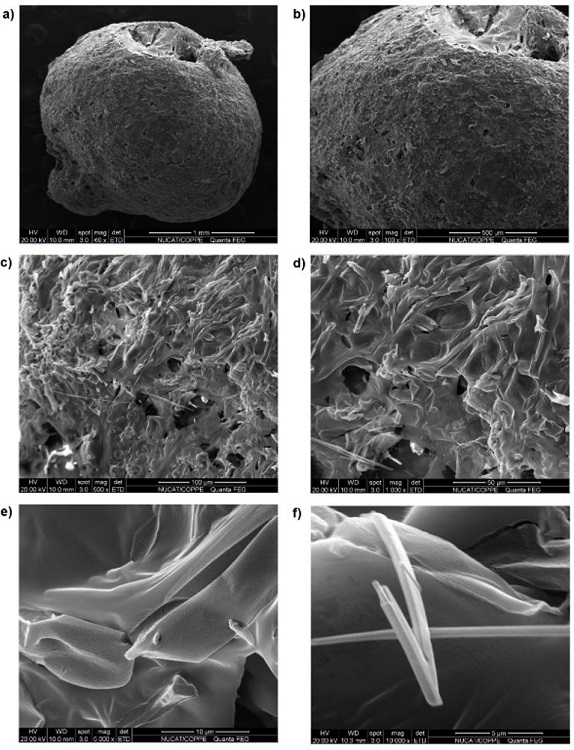 Images of coating 4 (polymeric solution; with pauses) obtained by SEM at magnifications of (a) 50×; (b) 100×; (c) 500×; (d) 1,000×; (e) 5,000×; and (f) 10,000×.