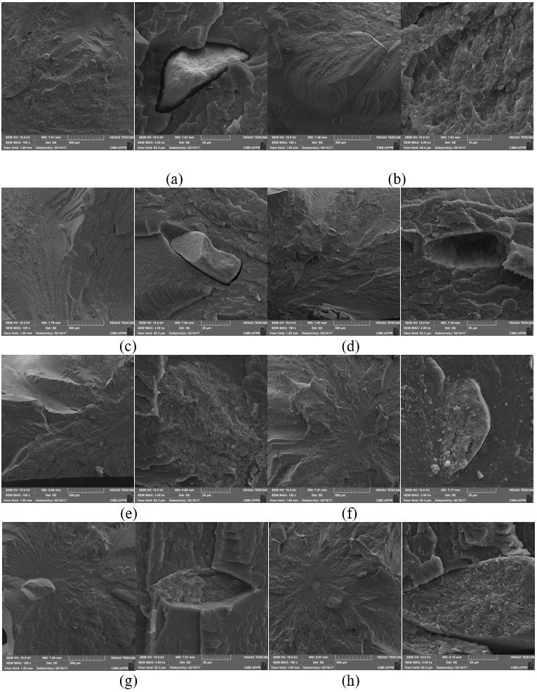  SEM images of cryogenic fracture for the LDPE nanocomposites containing 7% of the fillers: Ni/Al-DDS (a), Ni/Al-STE (b), Ni/Al-LAU (c), Ni/Al-PAL (d), Co/Al-DDS (e), Co/Al-STE (f), Co/Al-LAU (g), and Co/Al-PAL (h). The LDH crystals can be seen as white plates. 