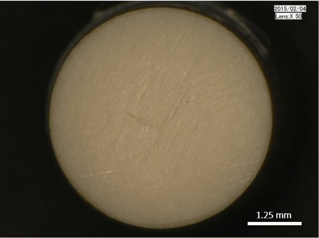 Friction surface of the natural PEEK pin before testing.