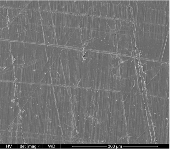 Aspect of a sample of natural PEEK before the test, with abrasion wear marks across the friction surface of the pin.