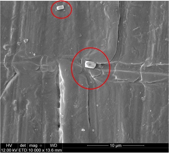 Contaminants from the polishing system circled in red.