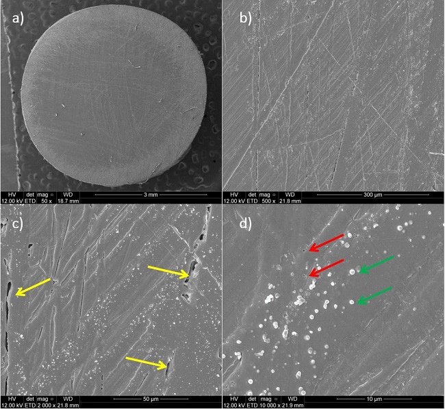 Morphology of natural PEEK pin wear tested against a polished counterbody. a) friction surface similar to the pre-test state; b) grooves produced during sample preparation; c) Yellow arrows point to fractures where debris formed; d) rounded debris are shown by green arrows. Red arrows point to holes on the friction surface.