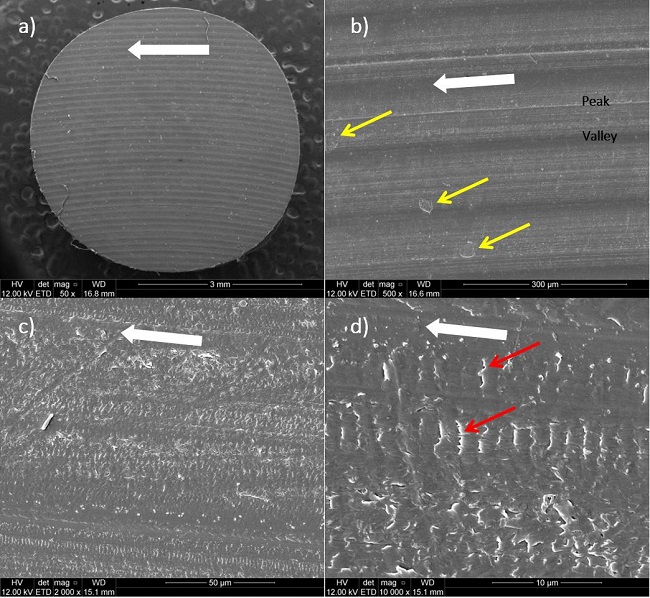 Morphology of a pin made of natural PEEK worn against turned counterbody. The white arrows indicate the sliding direction; a) Grooves generated by harder asperities of the counterbody; b) The yellow arrows indicate shallow pits formed by fatigue, c) Presence of vertical ripple-type patterns towards the slip direction; d) The red arrows show the morphology and the repetitive pattern of the ripples.