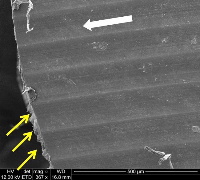 Surface of a pin made of natural PEEK tested against turning disc. Yellow arrows indicate the debris produced by material displacement caused by the tangential force during sliding. The white arrow shows sliding direction.