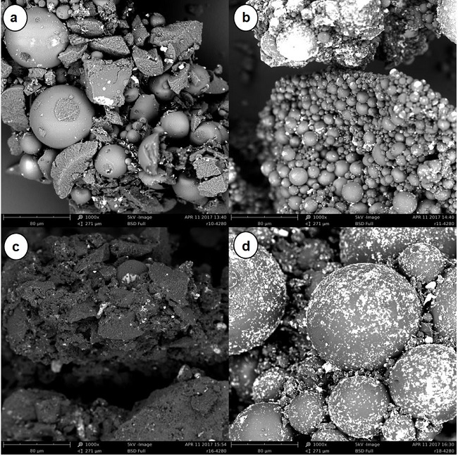 (a) R10; (b) R11; (c) R16; (d) R18.