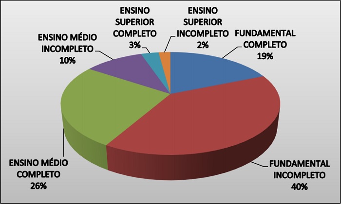 Porcentagem do nível de escolaridade do universo pesquisado.