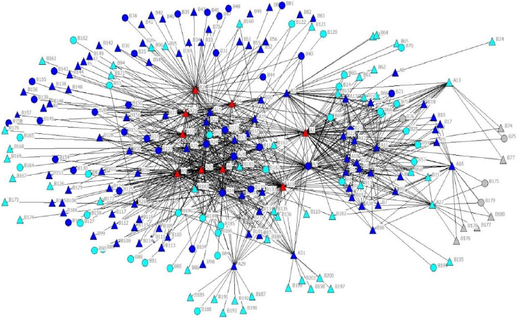 Complete supporter network