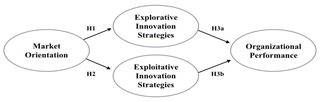 Conceptual Framework.