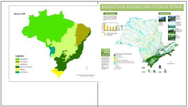 [2ª] Biomas
brasileiros com destaque para a vegetação nativa do Estado de São Paulo [2B]