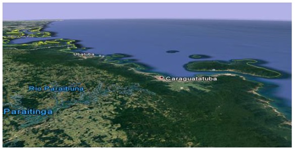 Mata
Atlantica, Litoral Norte do Estado de São Paulo