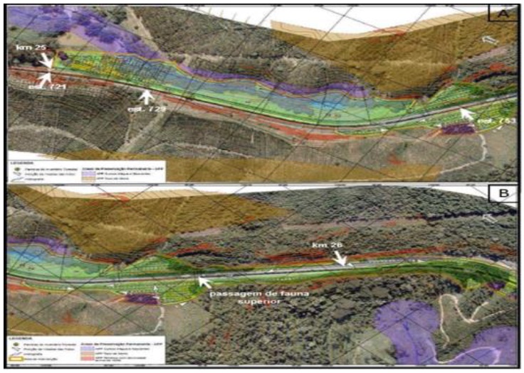  [a] projeto de otimização do traçado no segmento do km 25+600
ao km 26+300 [Alternativa 5b], contendo quantificação das intervenções em APP e
supressão de vegetação. [b] indicações das intervenções em APP e supressão de
vegetação, destaque para a passagem de fauna superior.